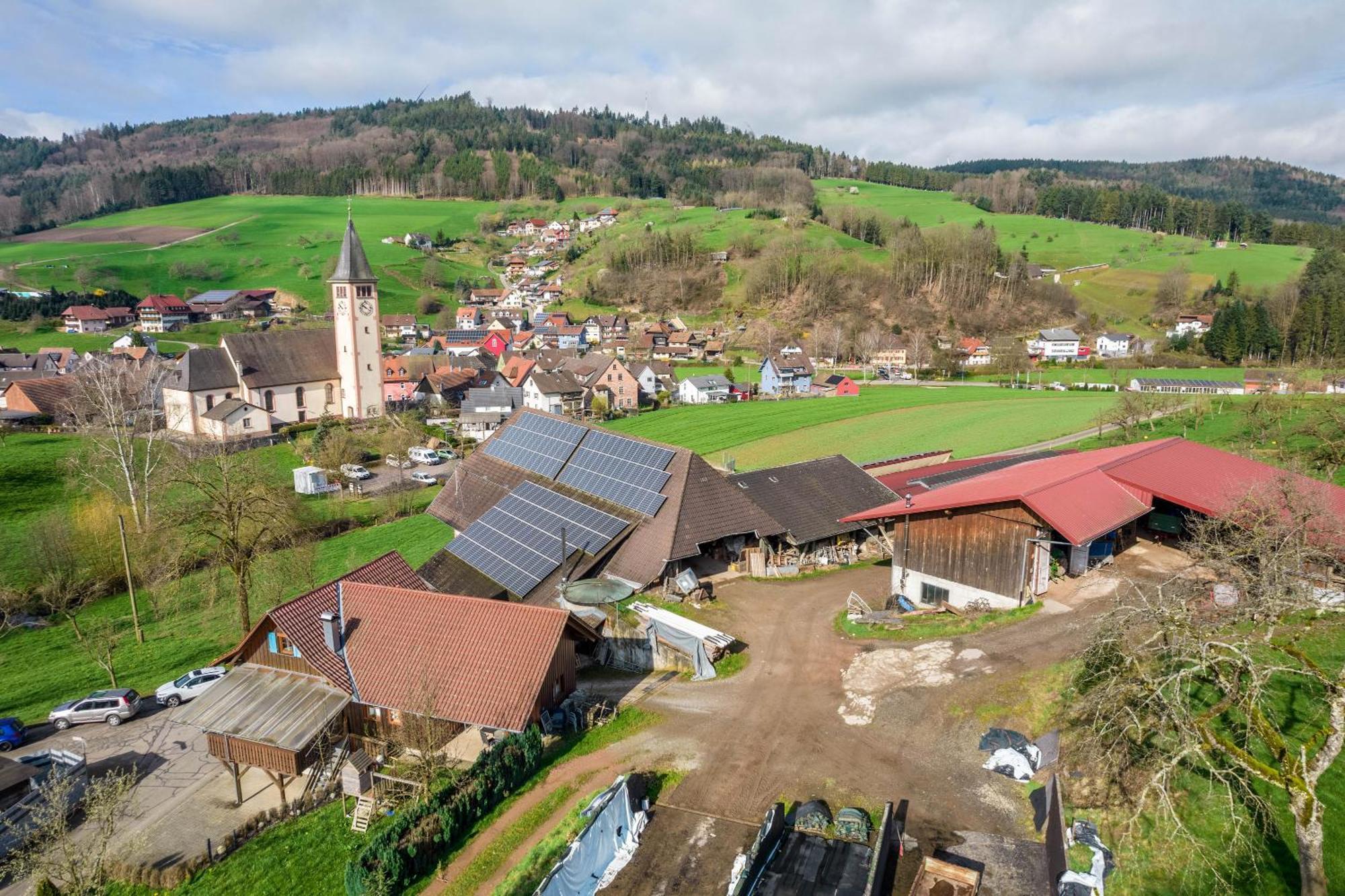 Ziegelhof Lägenhet Schuttertal Exteriör bild