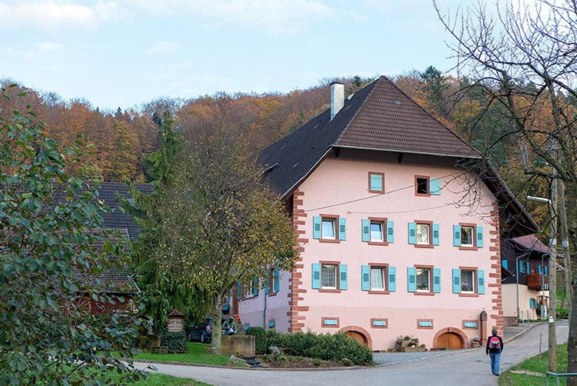 Ziegelhof Lägenhet Schuttertal Exteriör bild